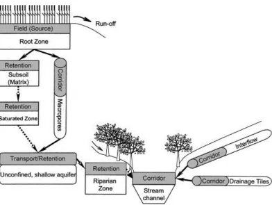 Figure 2. Pathways of nitrate movement from fields to a stream. Nitrate can be transported in water rapidly to streams through natural pipes (corridors) such as tile drains and old root channels and can also flow more slowly through soil and groundwater aq
