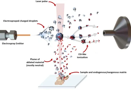 Figure 1.3. Schematic of the IR-MALDESI source. 