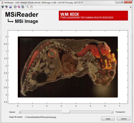 Figure 2.4.  MSiImage tool for overlaying an optical image with the ion image of putatively assigned desmosterol (m/z 367.3363, [M+H+-H2O]+) obtained in a whole-body IR-MALDESI analysis 2-day old neonatal mouse
