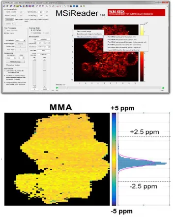 Figure 2.5.  Top: Screenshot of MSiReader interface showing the ion image of glutathione (m/z 306.0766, [M-H+]-) in a healthy hen ovary tissue section analyzed with negative mode IR-MALDESI