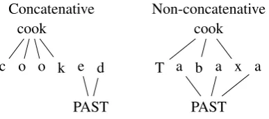 Figure 1:Schematic of concatenative vs non-concatenative morphology
