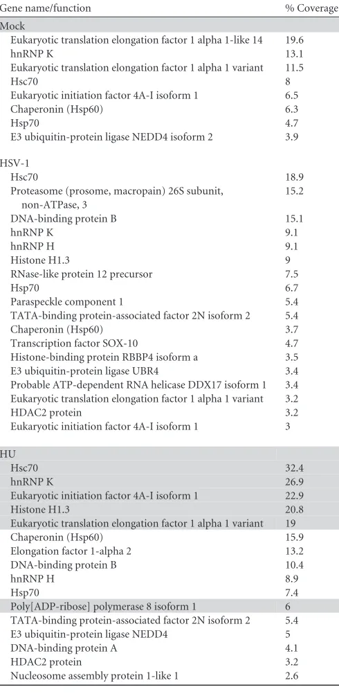 TABLE 2 Proteins that copurify with Rad9