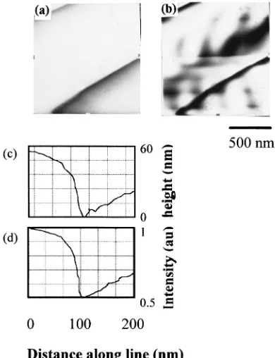 Figure 7 shows shear force and R-SNOM images of an-beam etched chromium test pattern of height 80 nm fabri-