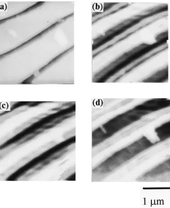 FIG. 9. �on glass for polarization of light ata� Shear force and �b�, �c� and �d� R-SNOM images of Cr grating �b� 45°, �c� 10°, and �d� 70° to lines