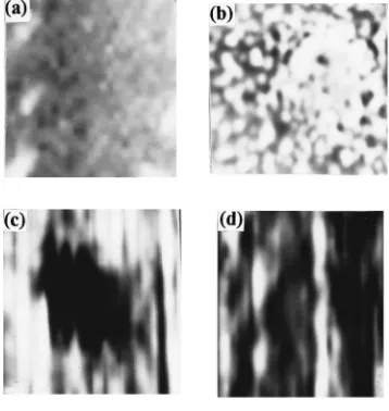 FIG. 10. �netic bit in Co/Pt multilayer. Scan sizeand 1.6a� Shear force, �b� MFM, �c� and �d� R-SNOM images of mag-�700�700 nm for �a�, �c� and �d�, �m�1.6 �m for �b�