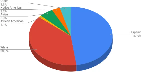 Figure 4.2. Students’ ethnicity. 