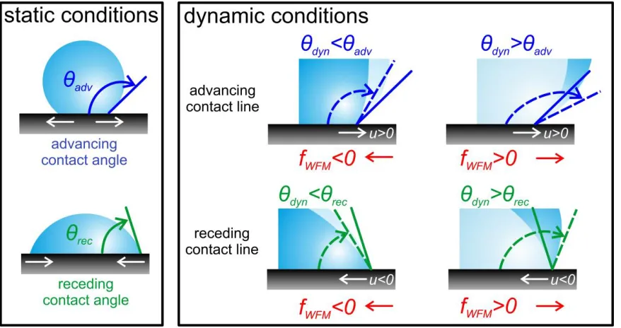 Figure 2. Direction of the proposed adhesion term at the contact line for dynamic conditions: fWFM points to the left/right until θeq is reached