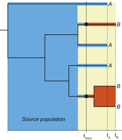 Figure 2 Principle joint donor-recipient time-scaled phylogeny. When a
