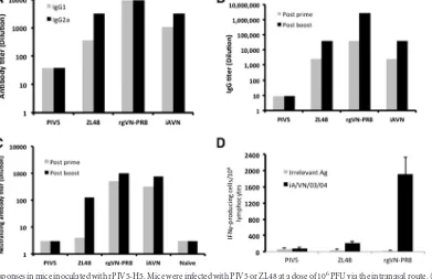 FIG 2 Generation and analysis of recombinant PIV5 expressing H5N1 HA between HN and L of the PIV5 genome