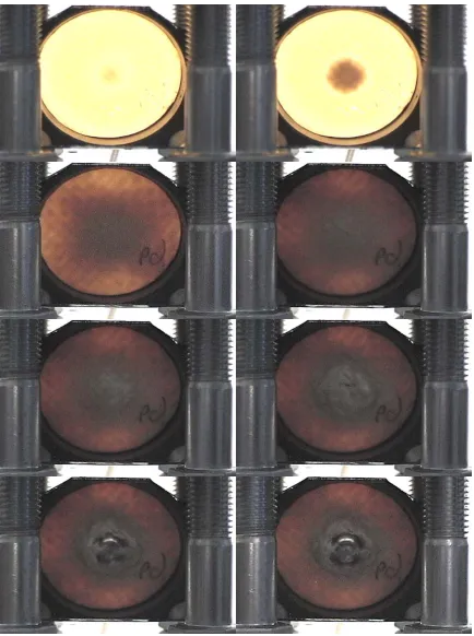 Figure 3.12  Representative Video Frames Captured during Quasi-StaticPerforation of 2D-S-24x12-2, Near Transition Points