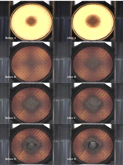 Figure 3.14  Representative Video Frames Captured during Quasi-Static