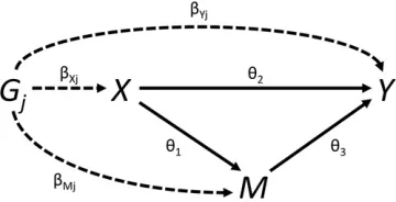 Figure 2 Graphical diagram of relationships between risk factor (variables are indicated by solid lines