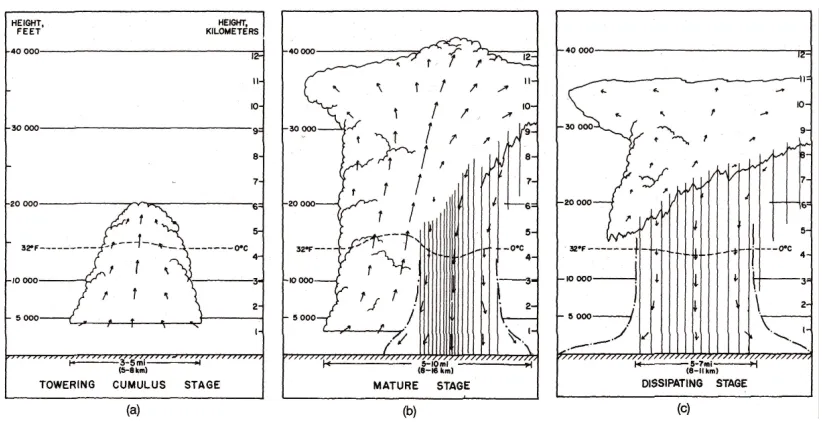Figure 2.1: Life cycle of an ordinary cell thunderstorm: a)towering cumulus stage dom-inated by updrafts, b) mature stage containing updrafts and downdrafts, c) dissipatingstage dominated by downdrafts (adapted from Byers and Braham, 1949).