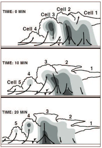 Figure 2.2: Cross section through a multicell storm over the course of 20 minutes. Notethe new cells developing on the left �ank of the storm (cell 5), while old cells are dissi-pating to the right (cell 1) (from Doswell, 1985).