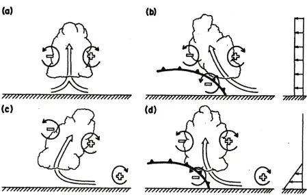 Figure 2.5: Vertical cross section of a squall line with trailing stratiform precipitation(from Houze et al., 1989).