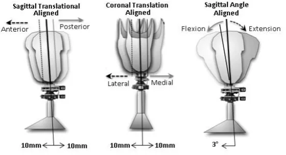 Figure 1. Documented perturbations. 