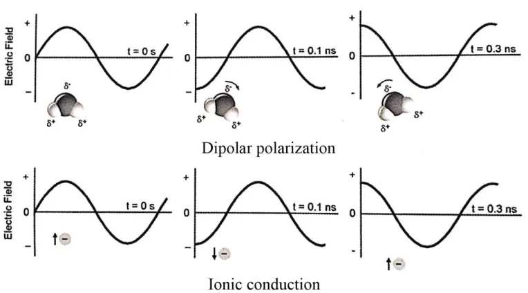 Figure 2-2. Two main heating mechanisms: dipolar polarization and ionic conduction losses