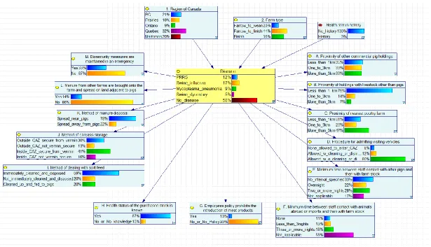 Figure 1 Bayesian Belief Network (BBN) constructed to examine the probability of occurrence of four diseases on commercial swine farms in Canada