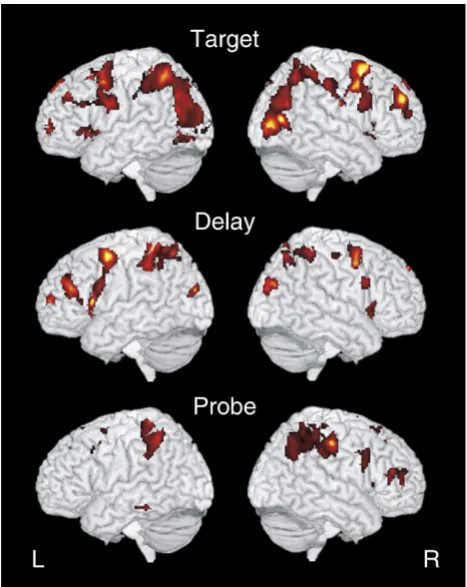 Fig. 2 – Changes in (A) RT and (B) error rate with practice areshown separately for each set of five object and spatial runs.