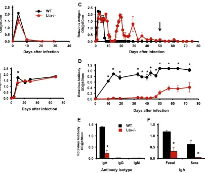 FIG 2 LT��/� mice produce systemic rotavirus-speciﬁc antibody and clear systemic rotavirus infection, but their production of intestinal IgA and intestinalclearance of rotavirus are signiﬁcantly delayed
