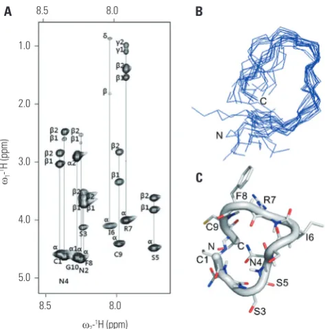 Fig. 1. NMR structure of cyclized oligopeptide. (A) 2D TOCSY spectrum of DKK1 (1 mM) in 100% DMSO at pH 7.0, 283 K, recorded with a spin-lock mixing time of 70 ms