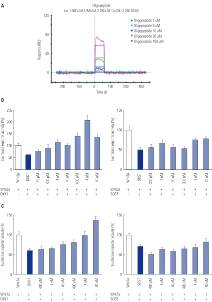 Fig. 2. Luciferase reporter activity of cells treated with cyclized oligopeptide and ProteOn XPR36 analysis