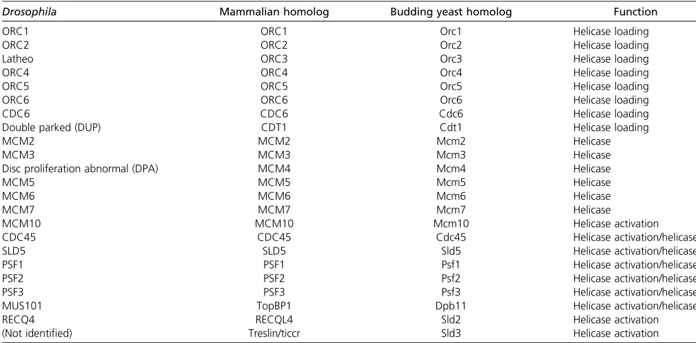 Table 1 Key proteins required for helicase loading and activation