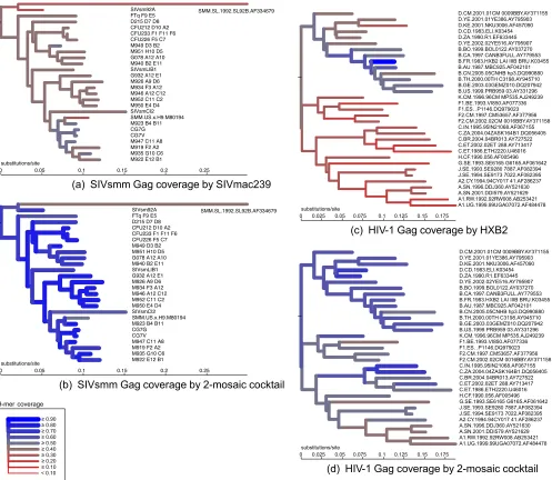 FIG 6 Maximum likelihood amino acid trees for HIV-1 and SIVsmm Gag (from Fig. 2), showing 9-mer coverage of each sequence by mosaics and by singlenatural sequences