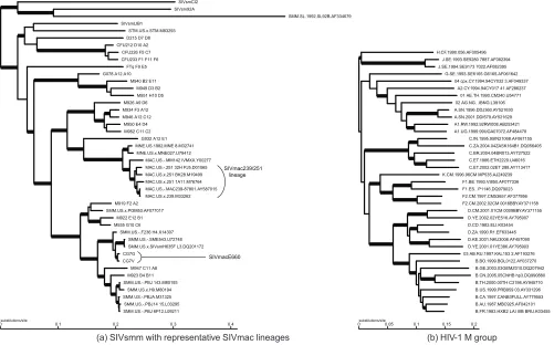 FIG 1 Whole-genome maximum likelihood phylogenetic trees inferred from nucleotide data for HIV-1 and SIVsmm data sets