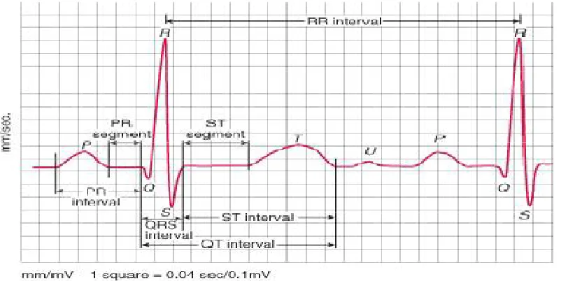 Figure 1: ECG Signal for a Normal Heart Beat   