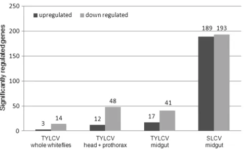 TABLE 1 Differentially transcribed ESTs in the midgut of B. tabaci following TYLCV and SLCV acquisition and retentiona