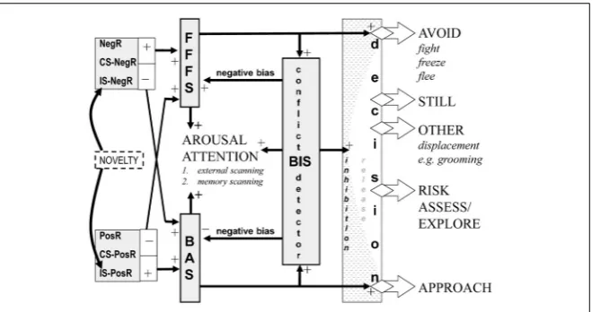 FIGURE 1 | Overall relation of approach (BAS), avoidance (FFFS = ﬁght, freeze, ﬂee), andconﬂict (BIS = behavioral inhibition) systems—an updated model