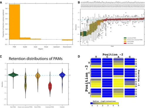 Figure 2 Cascade type I-E PAM recognition. (A) Percent of variance in retention ((retention)] for all possible PAMs