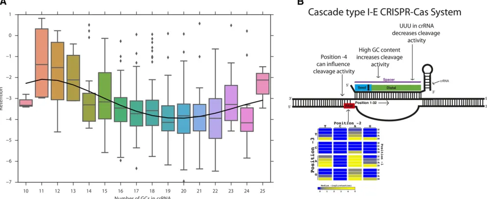 Figure 4 Cascade-type I-E GC content analysis. (A) Box plots of retention for crRNAs in various GC content bins, with a fourth-degree polynomial ﬁtfrom the Numpy package (van der Walt et al