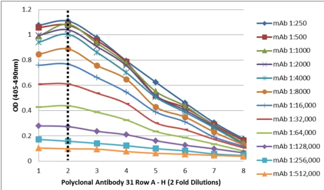 Fig. 8: Optimal dilution for polyclonal antibody 31 was determined to be 1:500 by  checkerboard assay