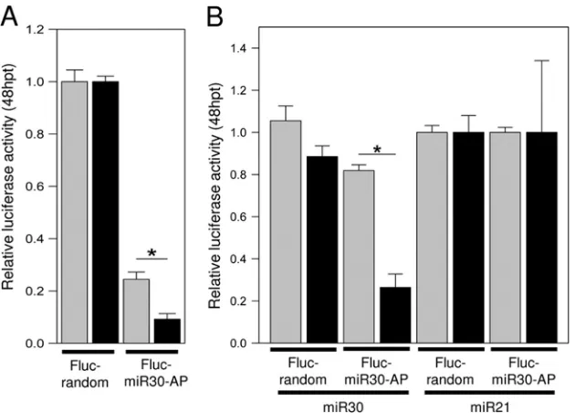 FIG 4 Suppression of the mammalian miRNA pathway in WNV replicon cells. (A) Vero cells either expressing the WNV replicon (Vero-WNV [fection, and the relative luciferase expression (Fluc/Rluc) was determined