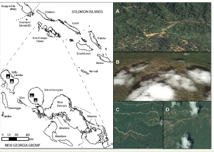 Fig. 3. Natural forests in the Solomon Islands have been excessively logged within the last two decades