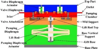 Figure 1: Cut sectional view of piezohydraulic pump   