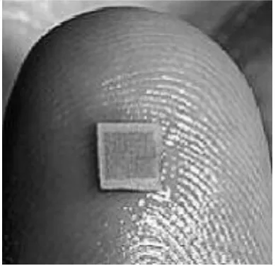 Figure 1: Experimental microneedle array consisting 400 microneedles. 