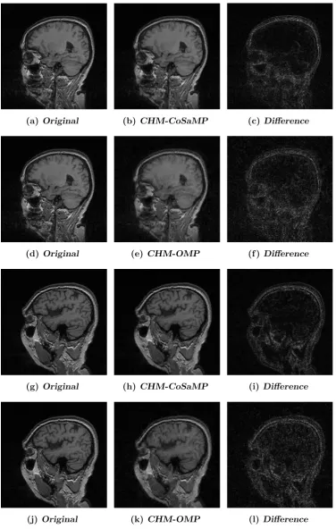 Figure 3.8: Fully sampled and reconstructed images for a 256×a 3D dataset. The Ψ matrix used is the identity matrix and CHM is the Φ matrix.The reconstruction is performed with CoSaMP as in Fig(b) and with OMP as in256 single 2D slice ofFig (c).