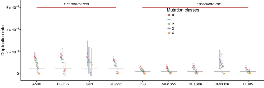 Figure 5 REPIN duplication rates inin theP.simulation every 100 time points between time point 1000 and 20,000