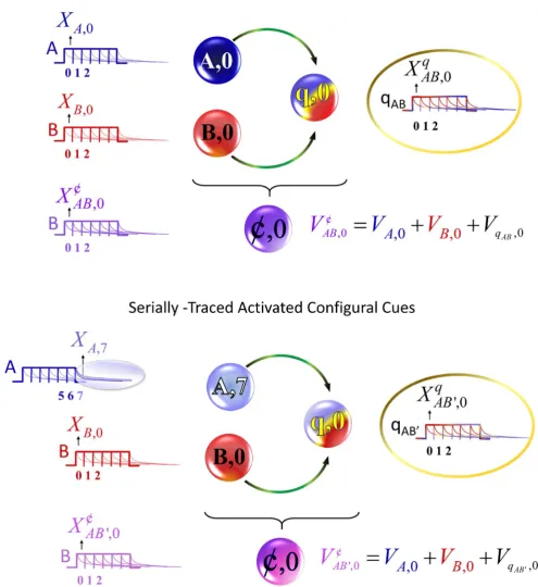 Figure 1. Configural-cue representation for simultaneous and serial configurations. Schematic representation of the formation of aare involved