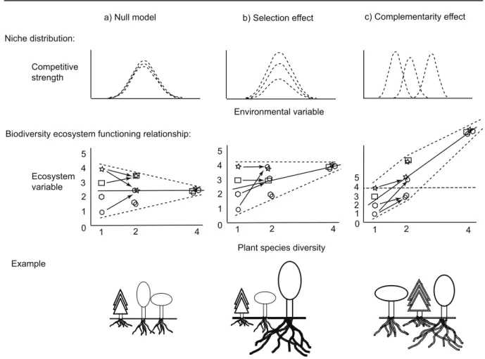 Fig. 1 . The figure (adapted from Schmid 2003) presents three different scenarios for the relationship  between biodiversity and ecosystem functioning