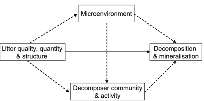 Fig. 1.  Direct  (solid  line)  and  indirect  (dashed  lines)  pathways  of  how  litter  species  diversity  and  composition may affect decomposition processes.