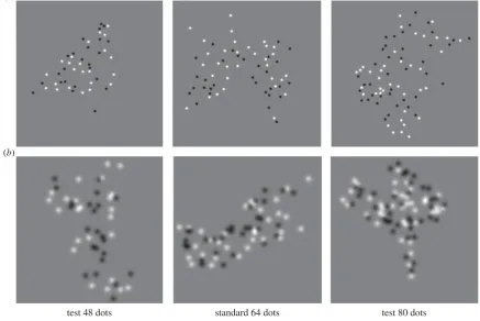 Figure 1. Examples of stimuli used in the experiments to measure the accuracy of relative numerosity discrimination