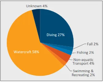 Figure 2-1: Ocean / Harbour Drowning Deaths by Activity Immediately Prior, 2012/13 (Source: Denoble, et al., 2008) 
