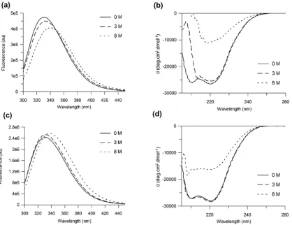 Fig 1. ββ1AR-m23 unfolding in DM and in urea. Fluorescence and far UV CD spectra (a and b, respectively) of 0.45 μM and (c and d, respectively) 4.5 μM1AR-m23 in DM in the original folded state in the presence of 0 M urea (solid lines) and 3 M urea (dashed 