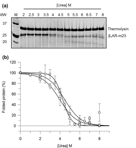 Fig 2. Monitoring β1AR-m23 unfolding in bulk solution by pulse proteolysis. 0.2 mg/ml thermolysin was used to digest 0.45 μM β1AR-m23, pre-equilibrated in buffer containing 25 mM Tris pH 7.5, 150 mM NaCl, 0.1 mM EDTA, 0.5% DM, 10 mM CaCl2 and urea (2–8 M) 