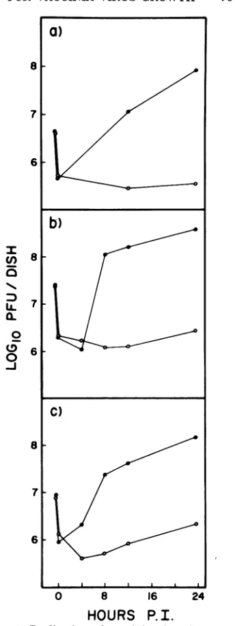 FIG. 1.monolayers Replication of vacciniaenucleated mammalian of intact cells (0) or