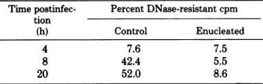 TABLE 2. Conversion of vaccinia virus cytoplasmicDNA to a DNase-resistant forma